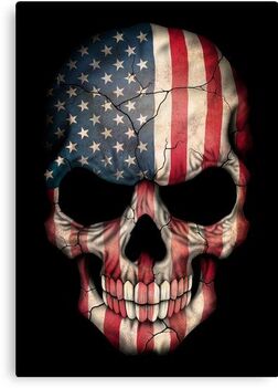 Full Skull in U.S. Flag cover